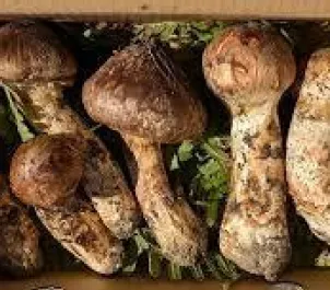 心に残るひと皿を。